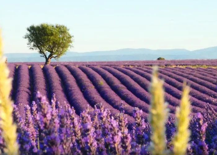 Escapade A Vinon Sur Verdon